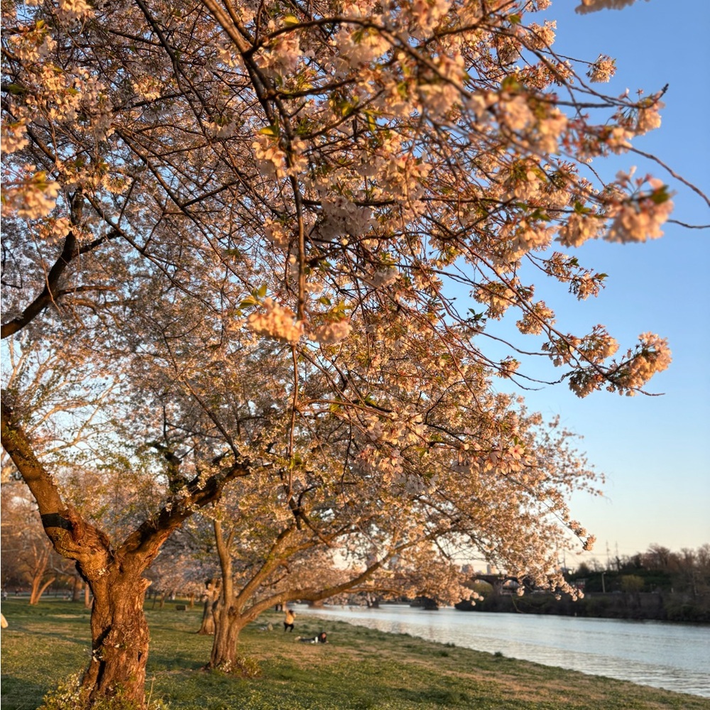 Meet your Posher, Victoria